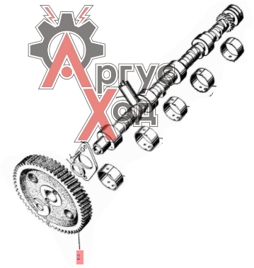13-1006020 Шестерня распределительного вала