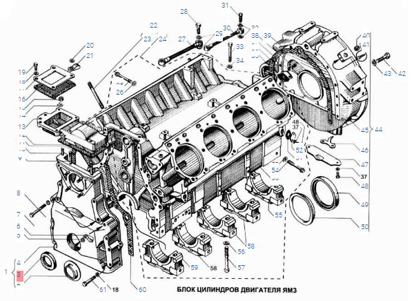 201-1005034-Б3 Сальник 2.3-64х95-2