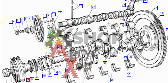 130-1005050-А3 Шкив коленчатого вала