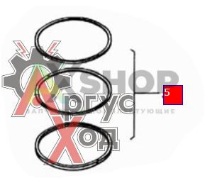 740.30-1000106 Кольца поршневые