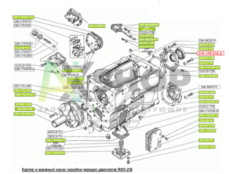 210-1701210-А Манжета с пружиной в сборе 70х92х12/16