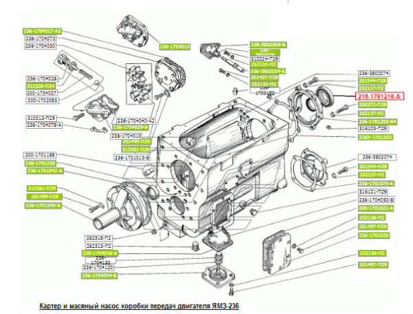 210-1701210-А Манжета с пружиной в сборе 70х92х12/16