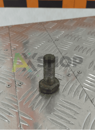 8.30.104 RU Болт короткий 