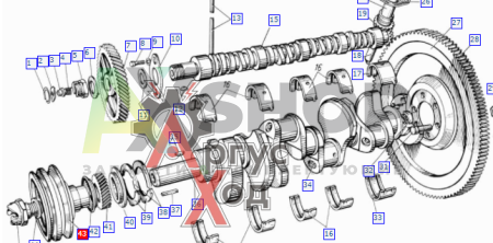 130-1005050-А3 Шкив коленчатого вала