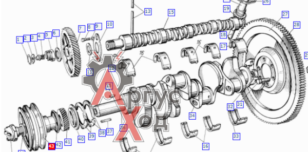130-1005050-А3 Шкив коленчатого вала