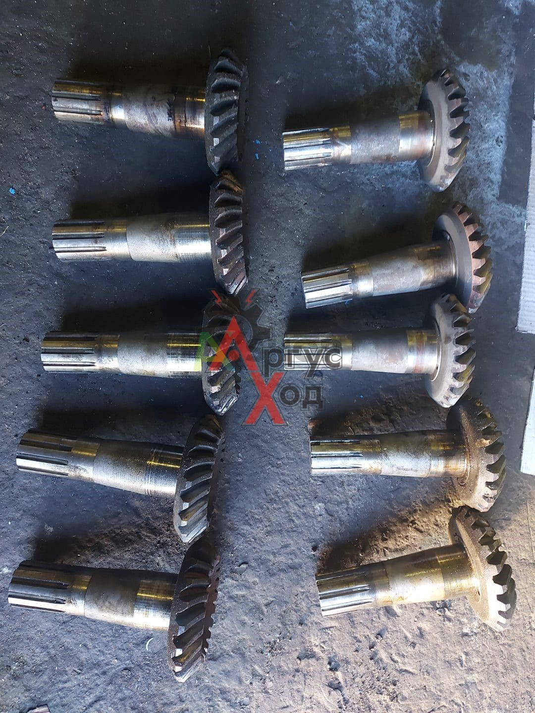 8.10.201 Шестерня коническая ведущая