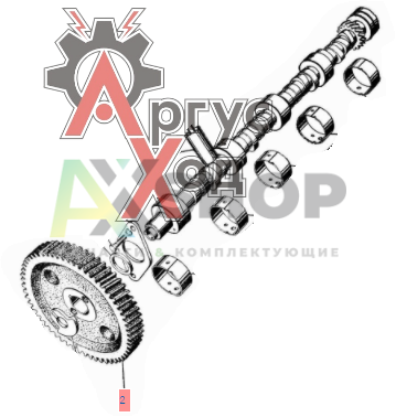 13-1006020 Шестерня распределительного вала