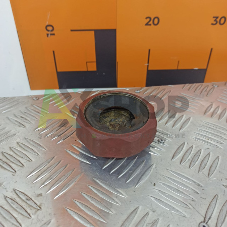 256-1015070-А Крышка заливной трубы в сборе