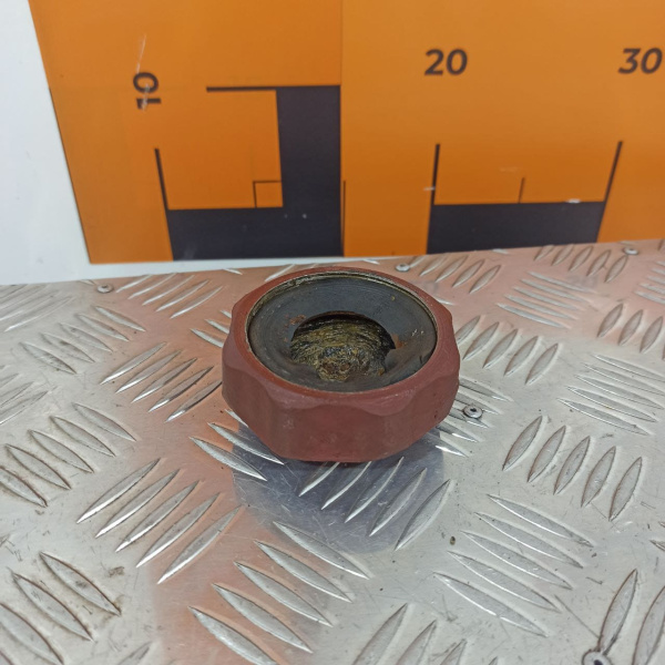 256-1015070-А Крышка заливной трубы в сборе