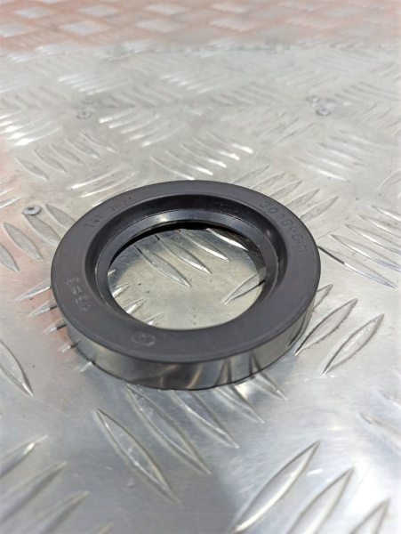 307640-П Сальник