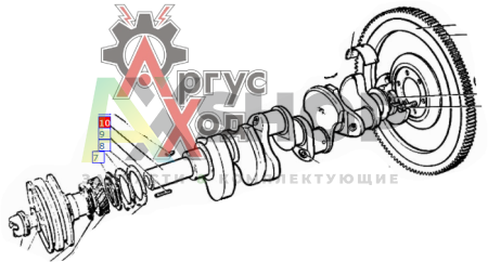130-1005011-20 Вал коленчатый с пробками в сборе