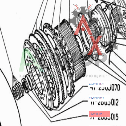 71-2603015 Гайка крепления ведущего барабана фрикциона левая
