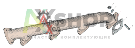 238-1008022-Б Коллектор выпускной правый