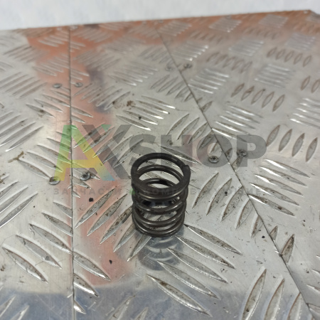 8.21.151 Пружина