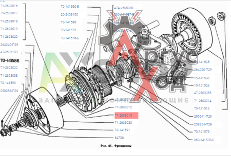 71-2603015 Гайка крепления ведущего барабана фрикциона левая