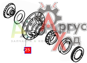 5320-2403016 Чашка диференциала