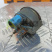 Указатель тока АП110