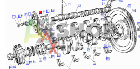 130-1006214-А Шестерня распределительного вала