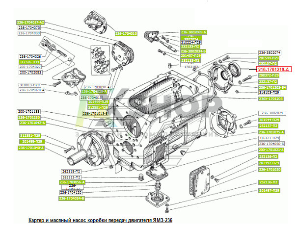 210-1701210-А Манжета с пружиной в сборе 70х92х12/16